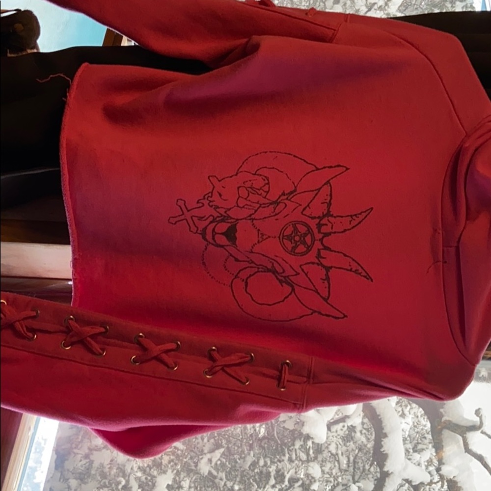 Satanic crop top hoodie